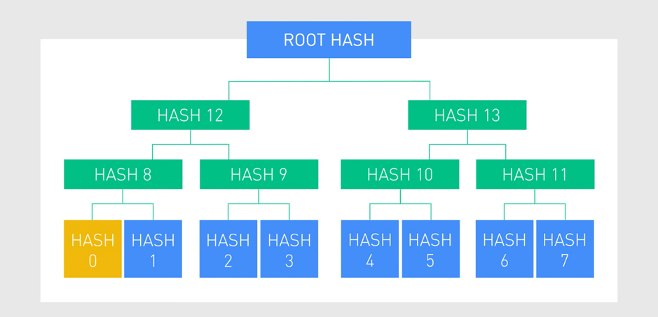 Root Hash