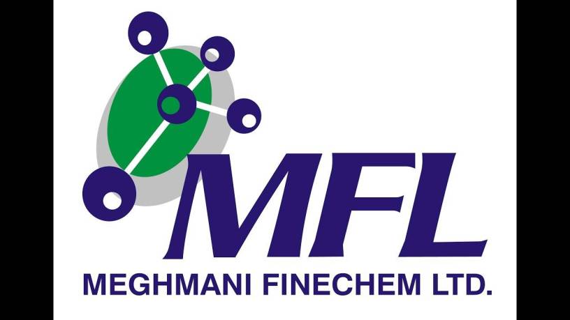 Meghmani Finechem Ltd Share
